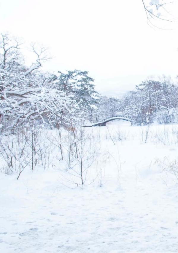 Whoseman-11-國民男友-阿部